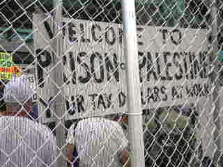 Caged Protestors